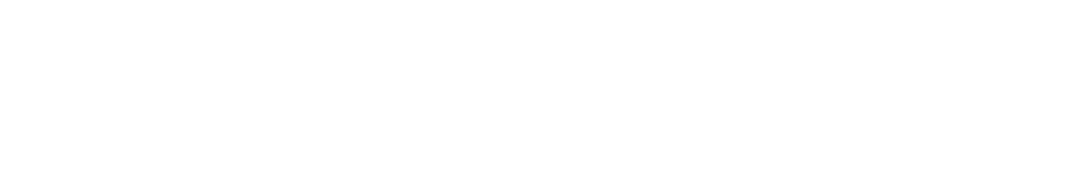 Partner 4
