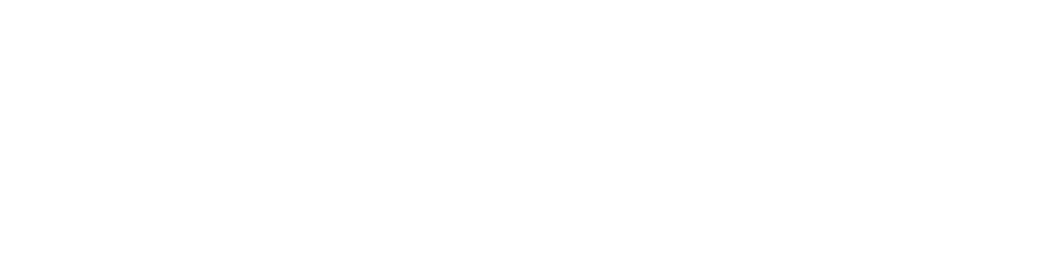 Partner 4